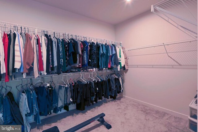 walk in closet with carpet