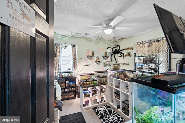 kitchen with carpet floors, a textured ceiling, and ceiling fan