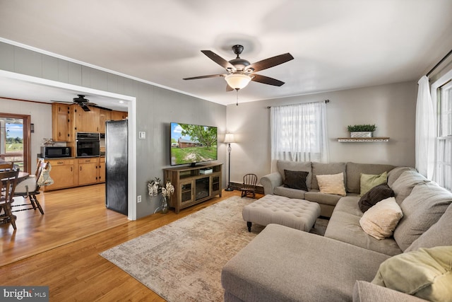 196 Taylortown Rd, Edinburg, VA 22824 - living room featuring a ceiling fan, light wood-style floors, and crown molding
