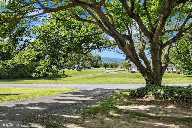 196 Taylortown Rd, Edinburg, VA 22824 - view of property's community featuring a mountain view and a lawn