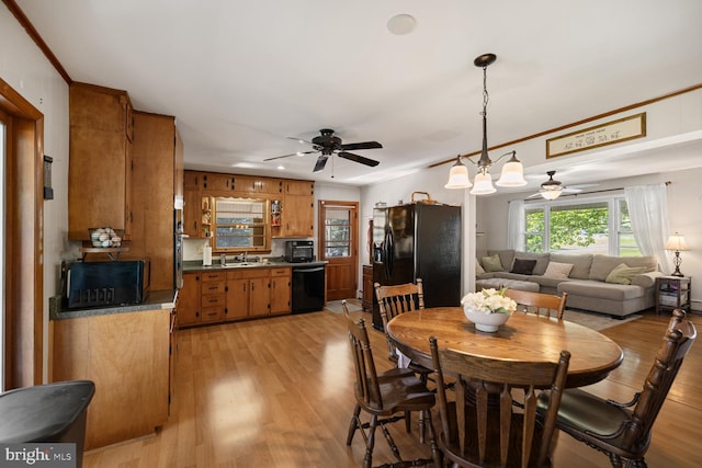 196 Taylortown Rd, Edinburg, VA 22824 - dining room with ceiling fan, light wood finished floors, and ornamental molding