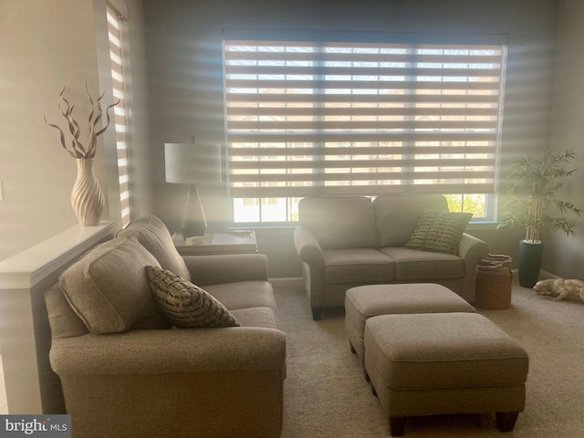 view of carpeted living area