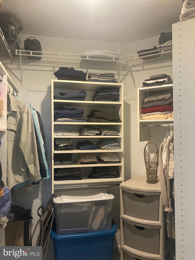 view of spacious closet