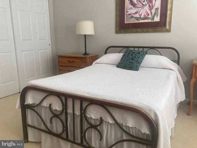 bedroom featuring carpet flooring