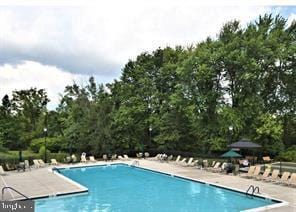 pool with a patio area