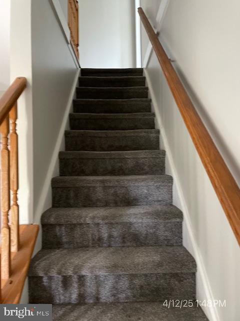 staircase with carpet flooring