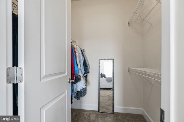 walk in closet featuring carpet