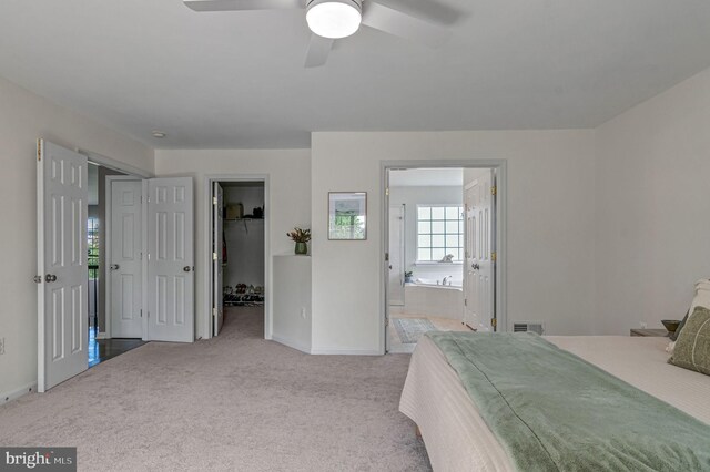 carpeted bedroom featuring a walk in closet, baseboards, a closet, connected bathroom, and a ceiling fan