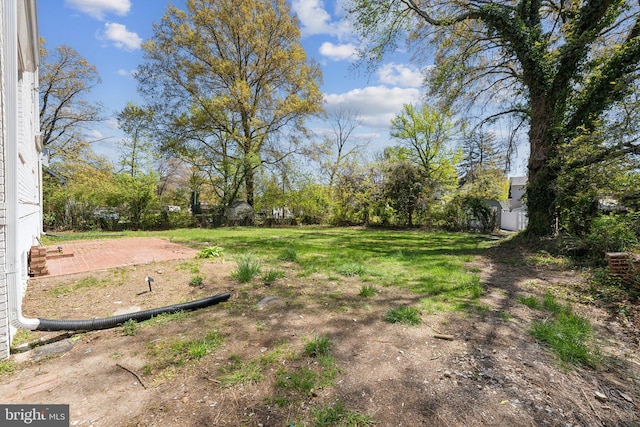 view of yard