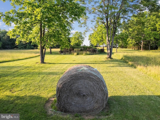 373 Thunder Hill Dr, Summit Point, WV 25446 - view of green lawn
