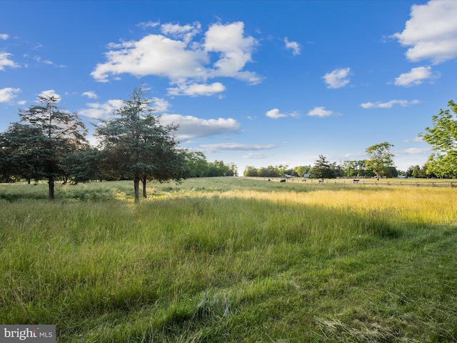 373 Thunder Hill Dr, Summit Point, WV 25446 - view of local wilderness with rural landscape