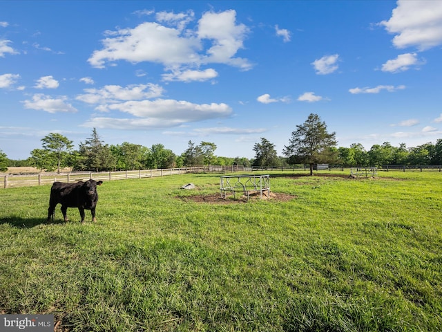 373 Thunder Hill Dr, Summit Point, WV 25446 - view of yard with a rural view