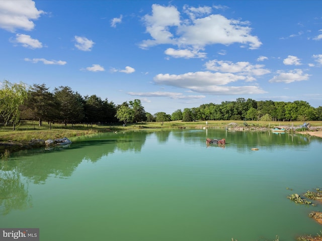 373 Thunder Hill Dr, Summit Point, WV 25446 - water view