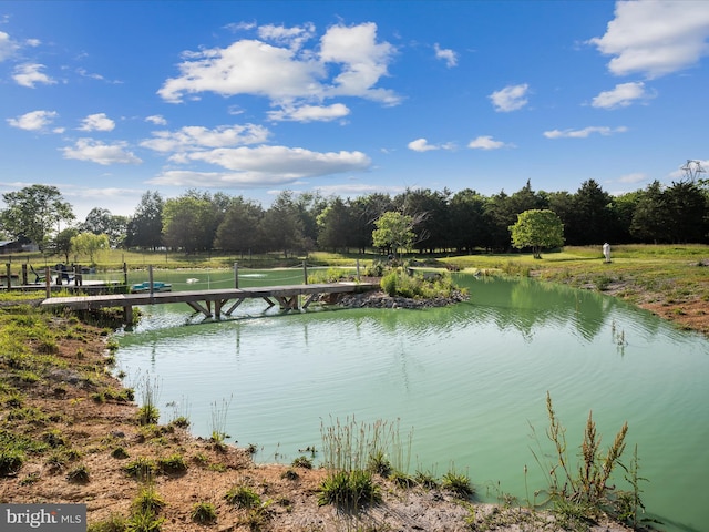 373 Thunder Hill Dr, Summit Point, WV 25446 - water view