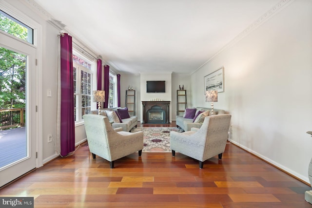 living room featuring wood finished floors, a fireplace, baseboards, and crown molding