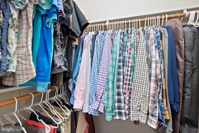 view of walk in closet