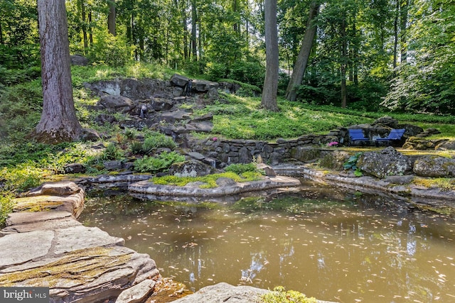 view of yard featuring a garden pond