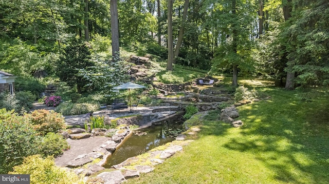 view of green lawn featuring a garden pond