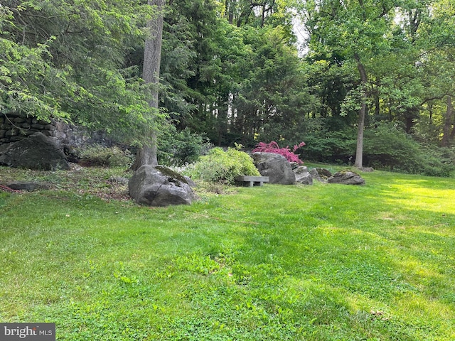 view of green lawn