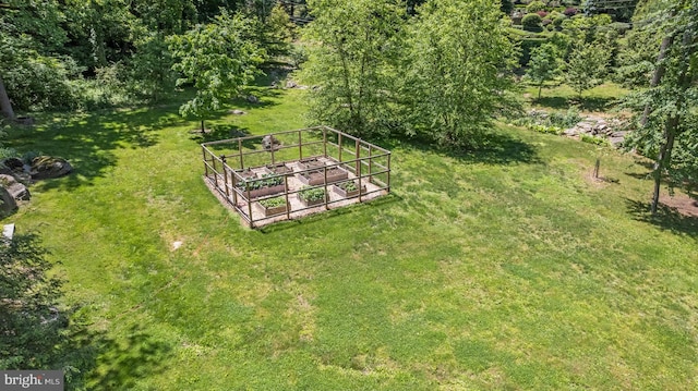 bird's eye view