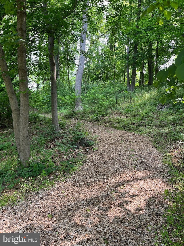 view of tree filled area