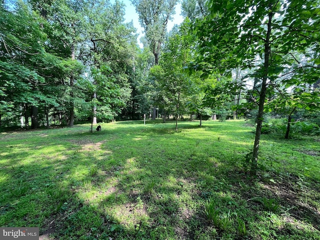 view of green lawn