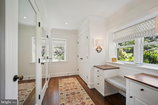 1660 Mount Pleasant Rd, Villanova, PA 19085 - mudroom with baseboards, recessed lighting, dark wood finished floors, and crown molding