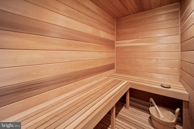 1660 Mount Pleasant Rd, Villanova, PA 19085 - view of sauna