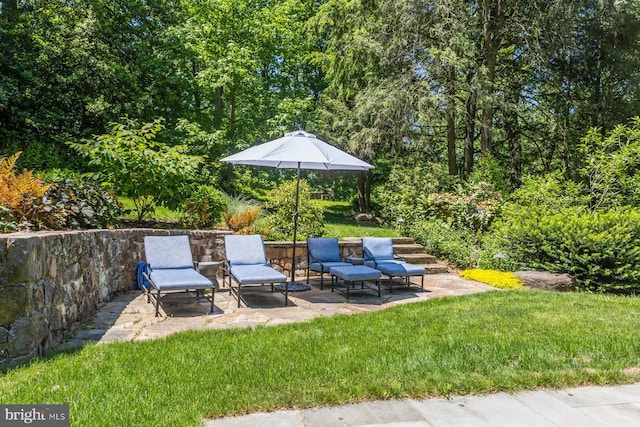 1660 Mount Pleasant Rd, Villanova, PA 19085 - view of yard featuring an outdoor hangout area and a patio