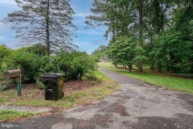 14957 Cherry Ln, Ridgely, MD 21660 - view of asphalt driveway