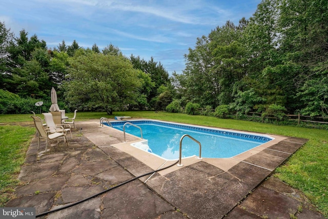 14957 Cherry Ln, Ridgely, MD 21660 - swimming pool with a patio, a yard, and a diving board