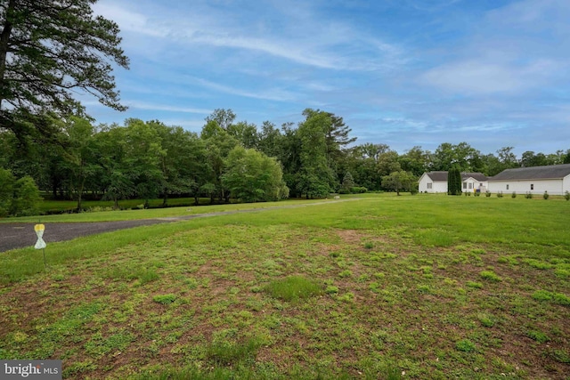 14957 Cherry Ln, Ridgely, MD 21660 - view of green lawn