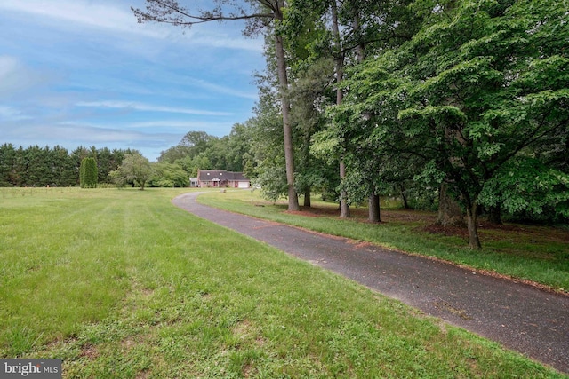 14957 Cherry Ln, Ridgely, MD 21660 - surrounding community with a yard and a forest view