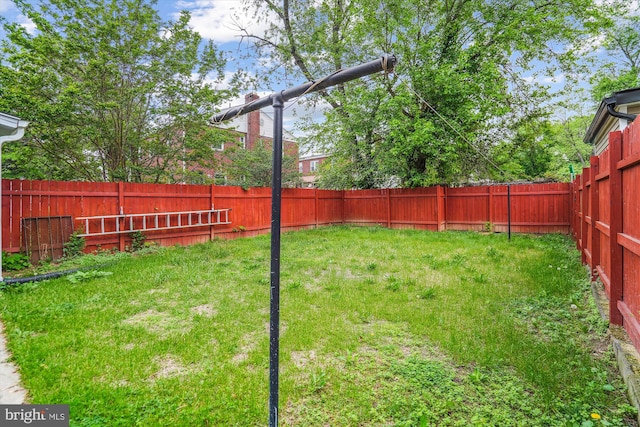 6023 20th Ave, Hyattsville, MD 20782 - view of yard