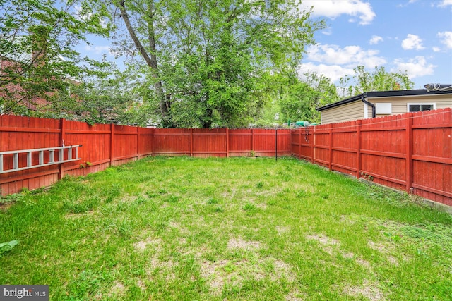 6023 20th Ave, Hyattsville, MD 20782 - view of yard