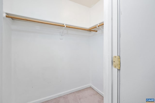 walk in closet with carpet floors