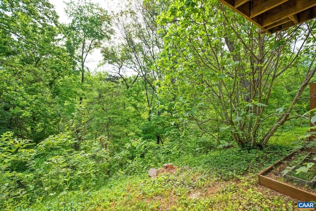 view of local wilderness featuring a wooded view