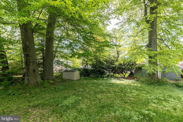 view of yard with an outbuilding and a shed
