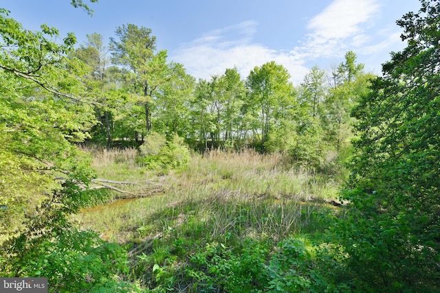 view of undeveloped land