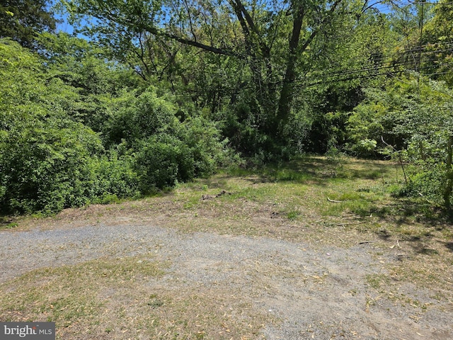 32939 Old Ocean City Rd, Parsonsburg, MD 21849 - view of nature featuring a wooded view