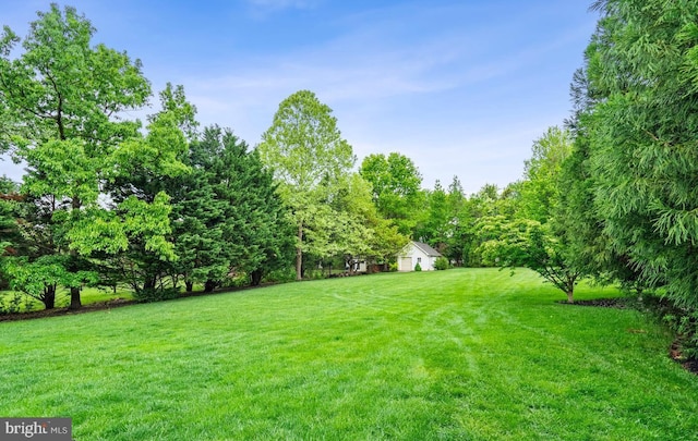 view of yard featuring a view of trees