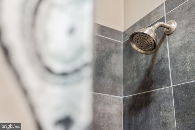 room details with tiled shower