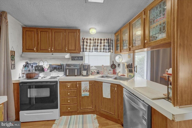 kitchen with brown cabinets, electric range, light wood-style flooring, stainless steel dishwasher, and under cabinet range hood