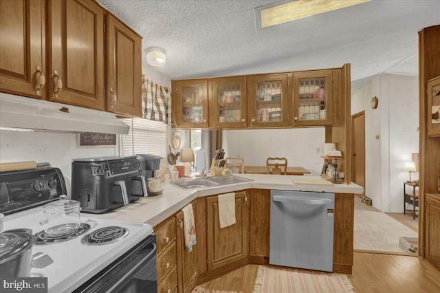 kitchen featuring a sink, electric stove, a peninsula, stainless steel dishwasher, and under cabinet range hood
