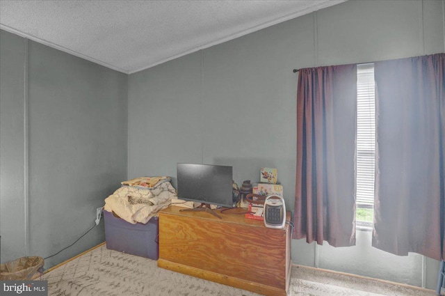 bedroom with crown molding, a textured ceiling, and multiple windows