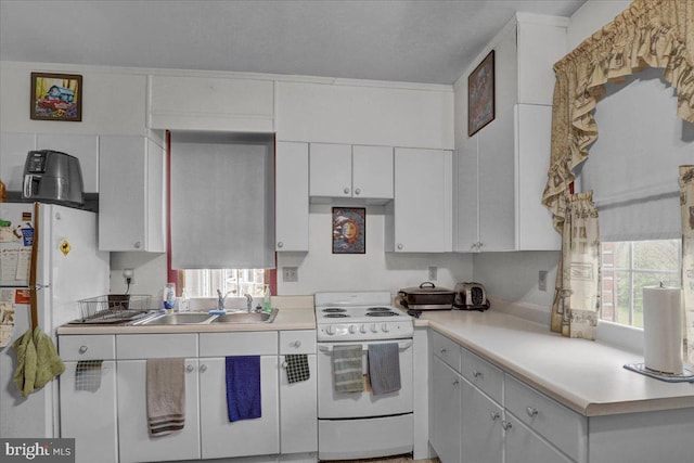 kitchen with a sink, light countertops, white appliances, and white cabinetry