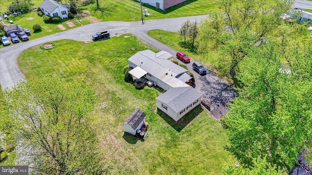 bird's eye view