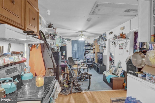 interior space with ceiling fan and wood finished floors