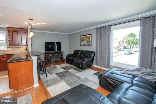 living area featuring ornamental molding and light wood finished floors