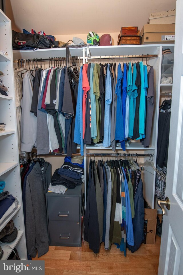 walk in closet featuring wood finished floors